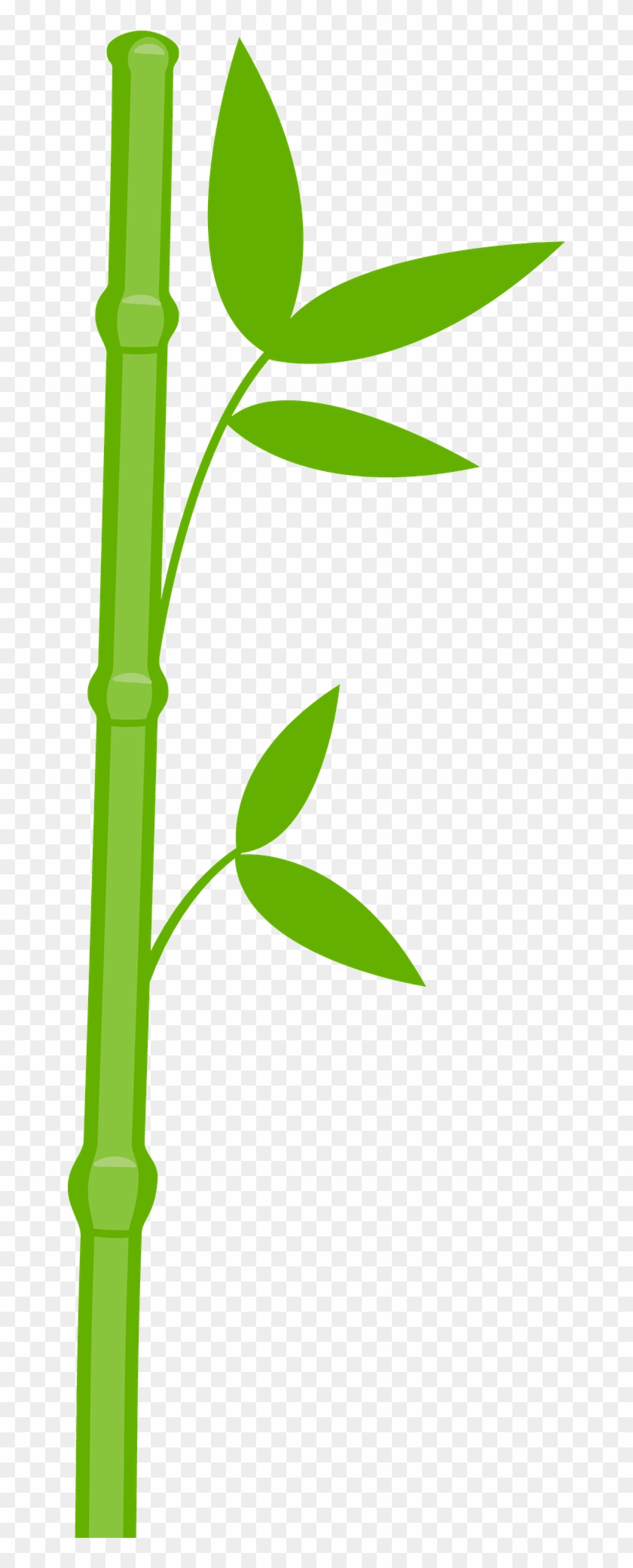 Panda Bear - One Bamboo Clipart #175046