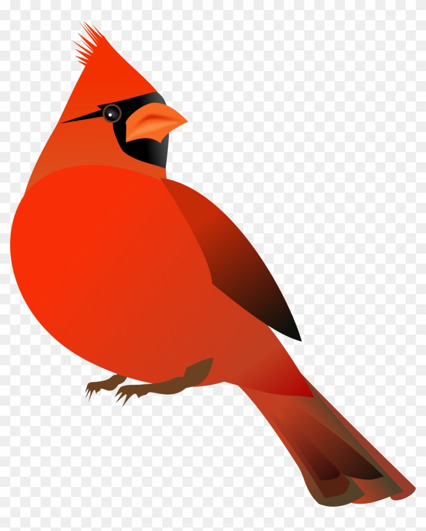 Red Cardinal Clip Art - Note Cards (pk Of 20) #175625