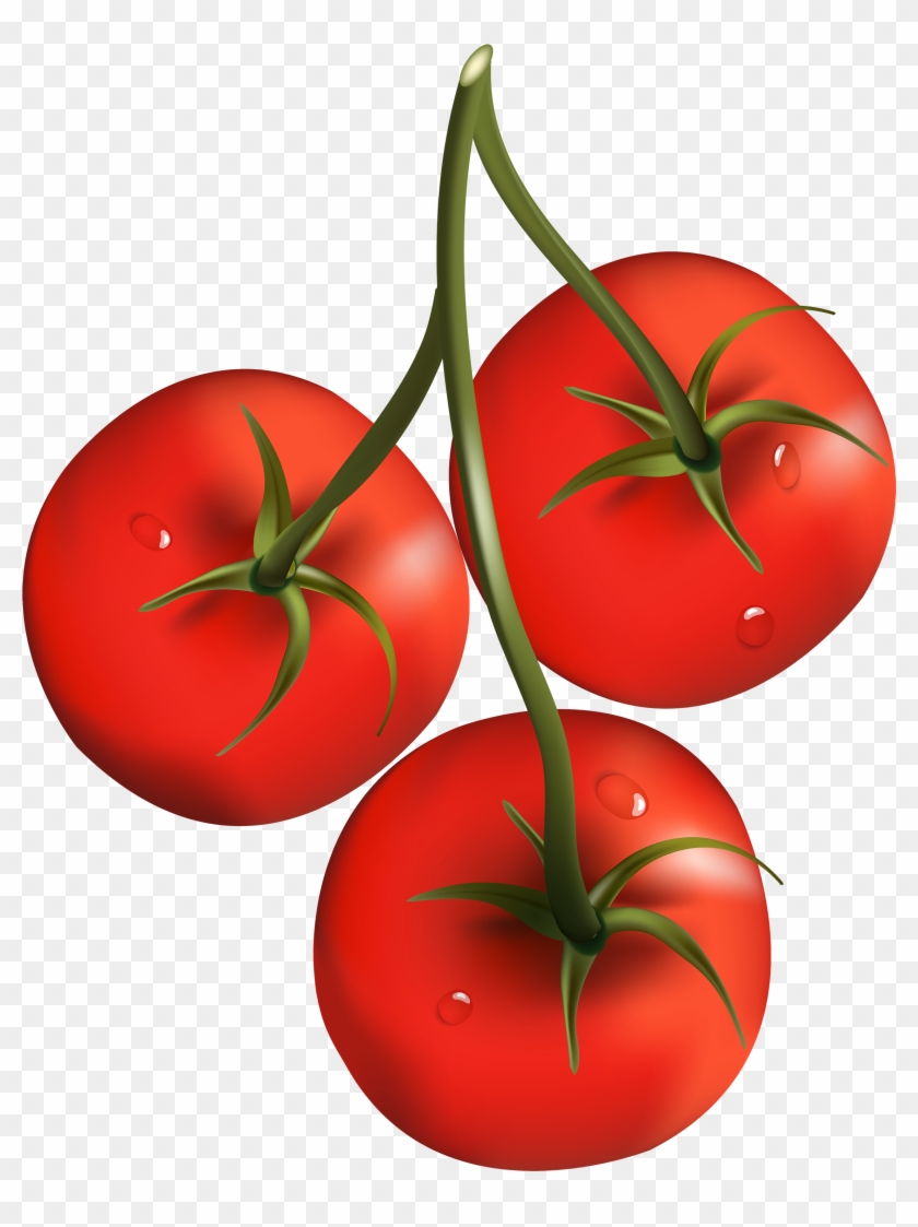 Tomato Branch Png Clipart - Cherry Tomato Clip Art #175687