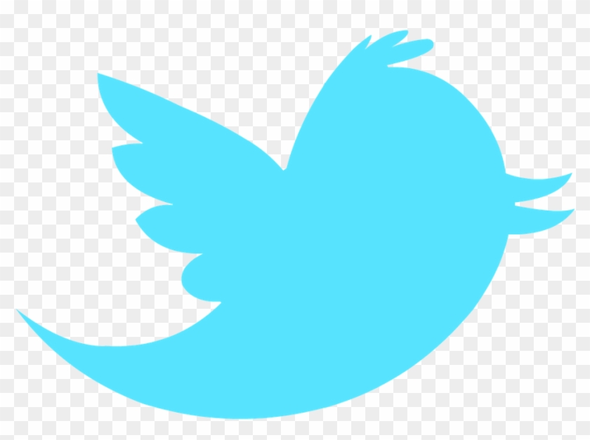 Follow On Twitter - Twitter Bird Logo Transparent Background #176437