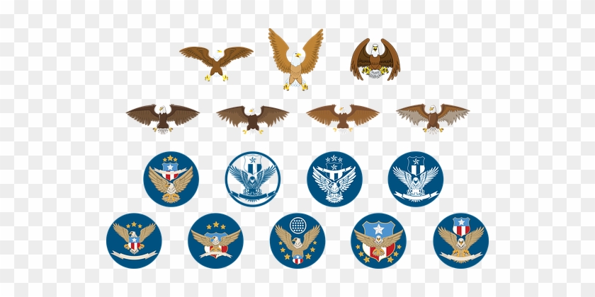 Adler Logo Icon Tier Design Wappen Vogel M - エンブレム 鳥 #176595