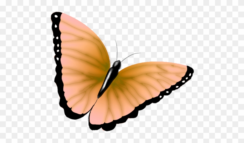 Clipart Butterfly - Clip Art #176708