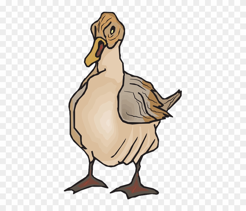 Feathers Brown, Duck, Wings, Art, Feathered, Feathers - Clip Art #176851
