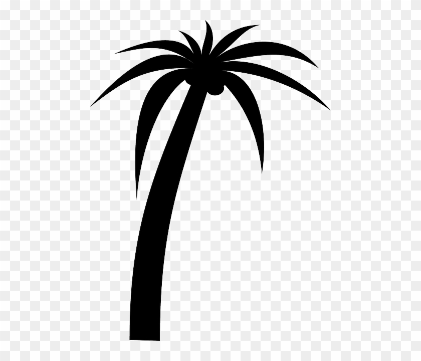 American, Florida, Florida , History, Social, Studies, - 4shared #995628