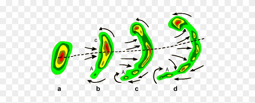 Typical Evolution Of A Thunderstorm Radar Echo Into - Squall Lines Bow Echoes #997077