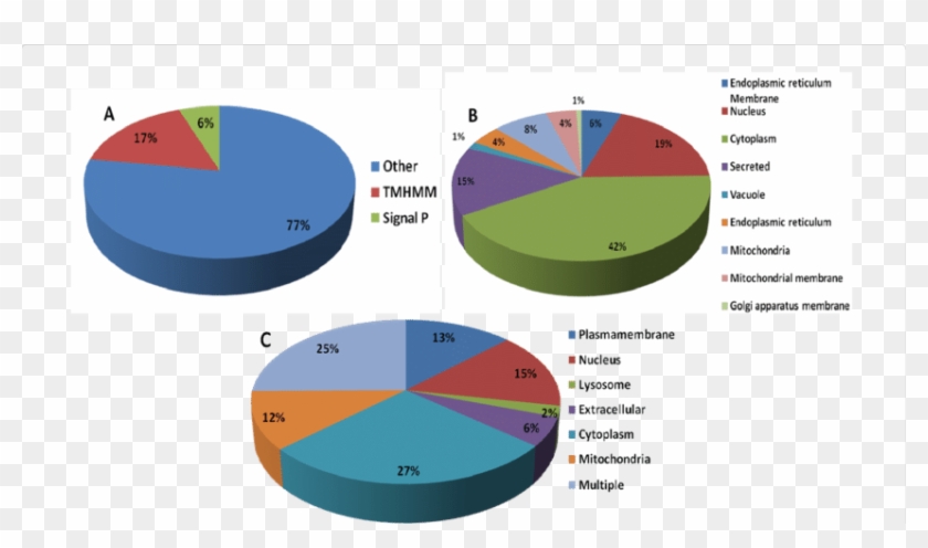 Download - Diagram #997283