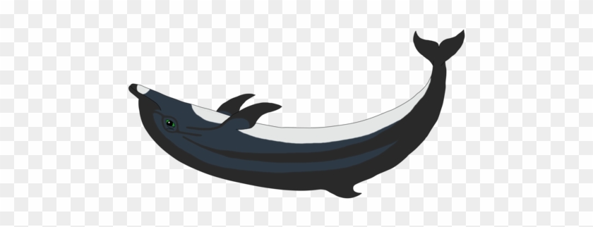 Whale Dolphin Oc Darkling Welcomes You - Whale Dolphin Oc Darkling Welcomes You #997615