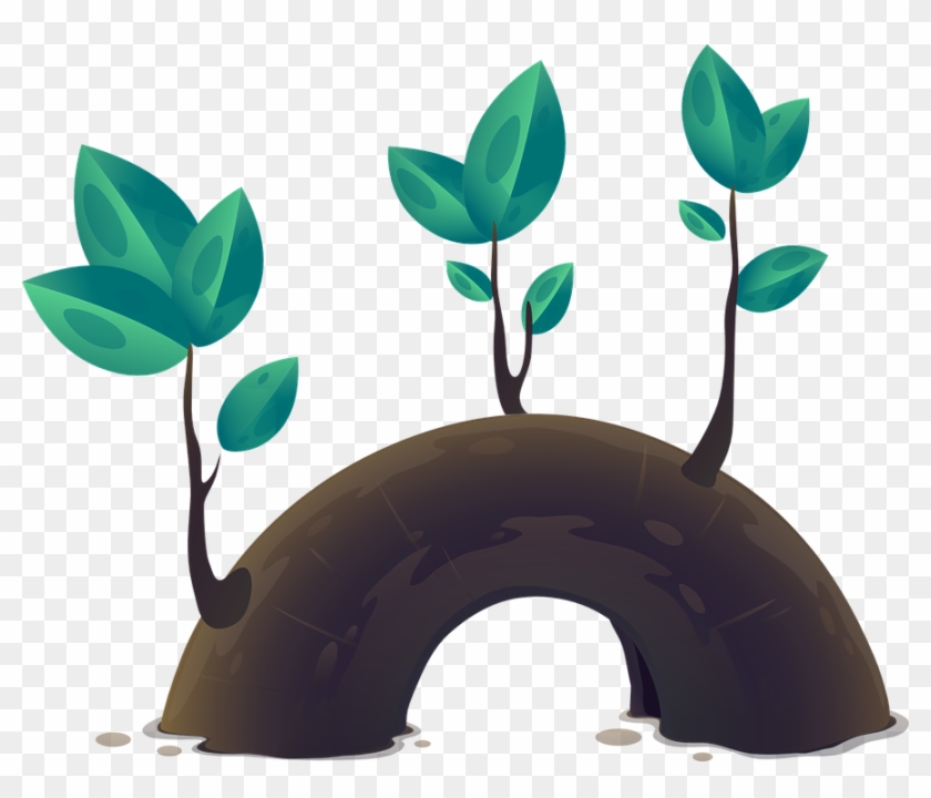 Growth By The Numbers - Plantas Animadas Png #997873