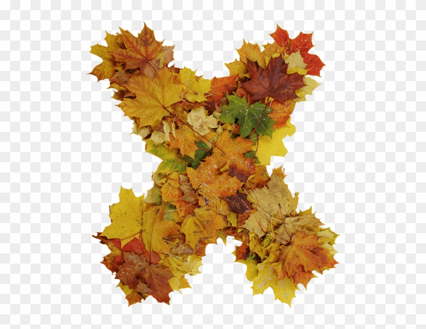 Autumn Font - Autumn #998056