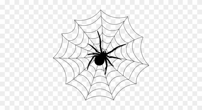 Spider Web Clipart Transparent Spider Web Transparent - Spider On A Spider Web #998092