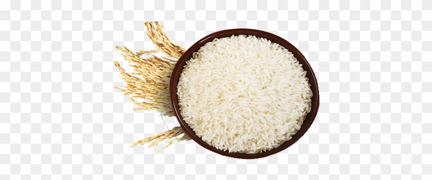 Basmati Rice - Rice Grains Png #998176