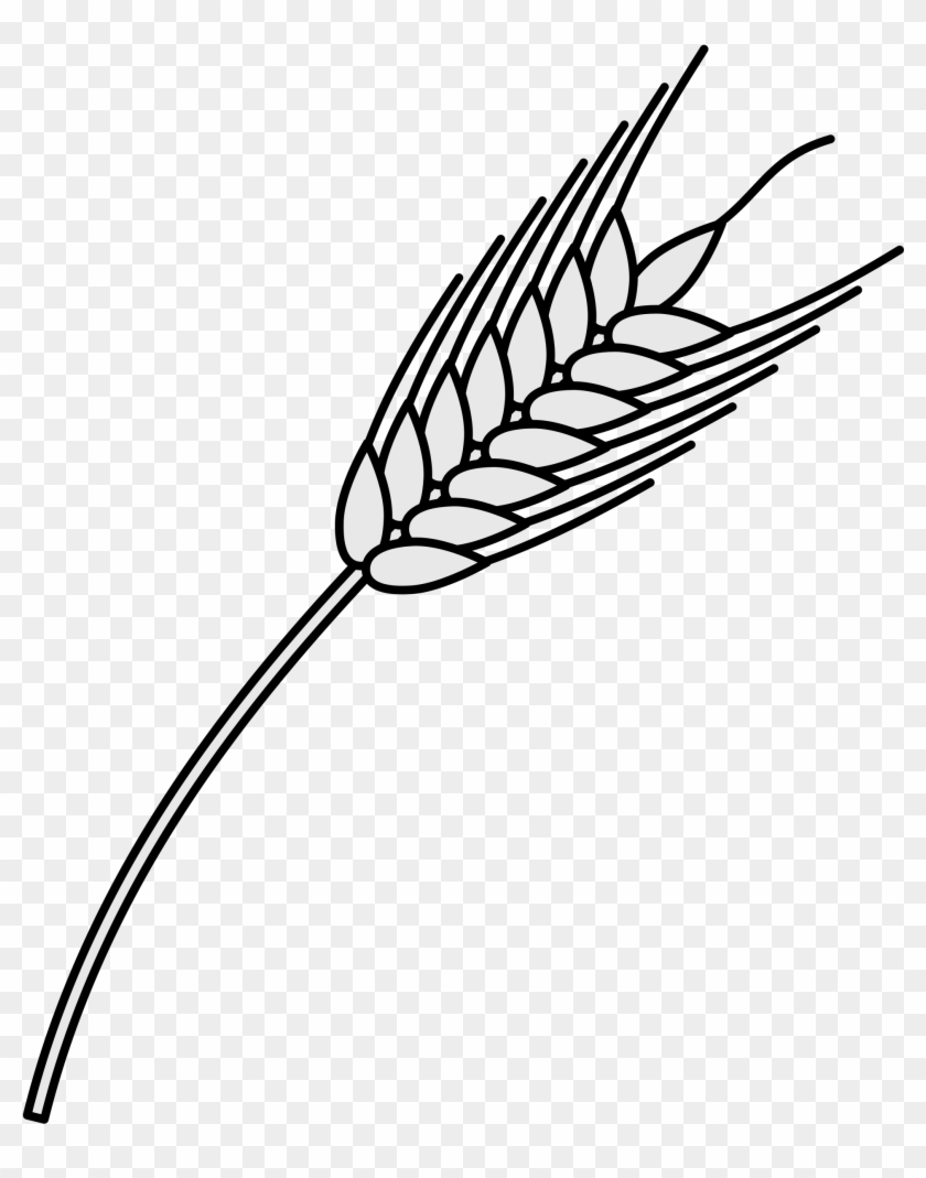 Open - Wheat Heraldry Png #998203
