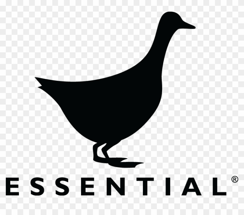 The Essential Ingredient Rozelle - Essential Ingredient Cooking Classes #998594