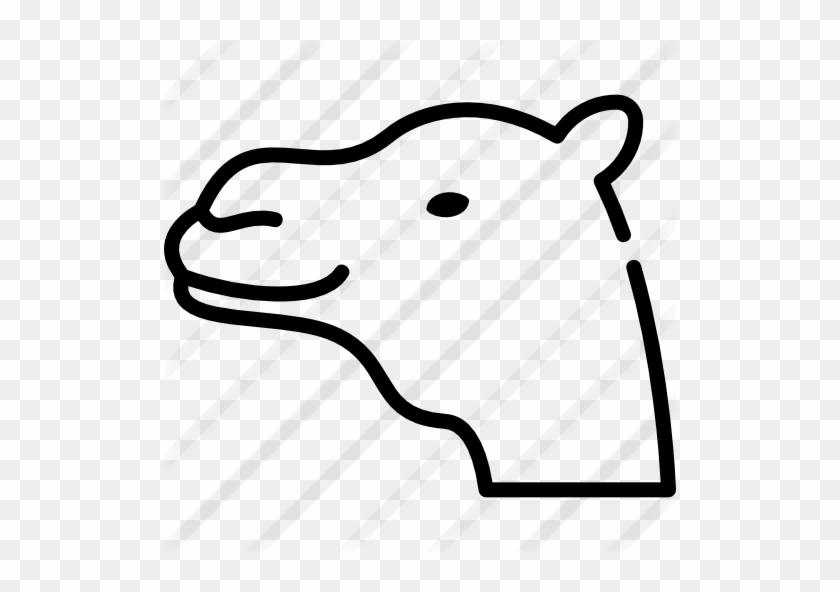 Camel - Camel #999574