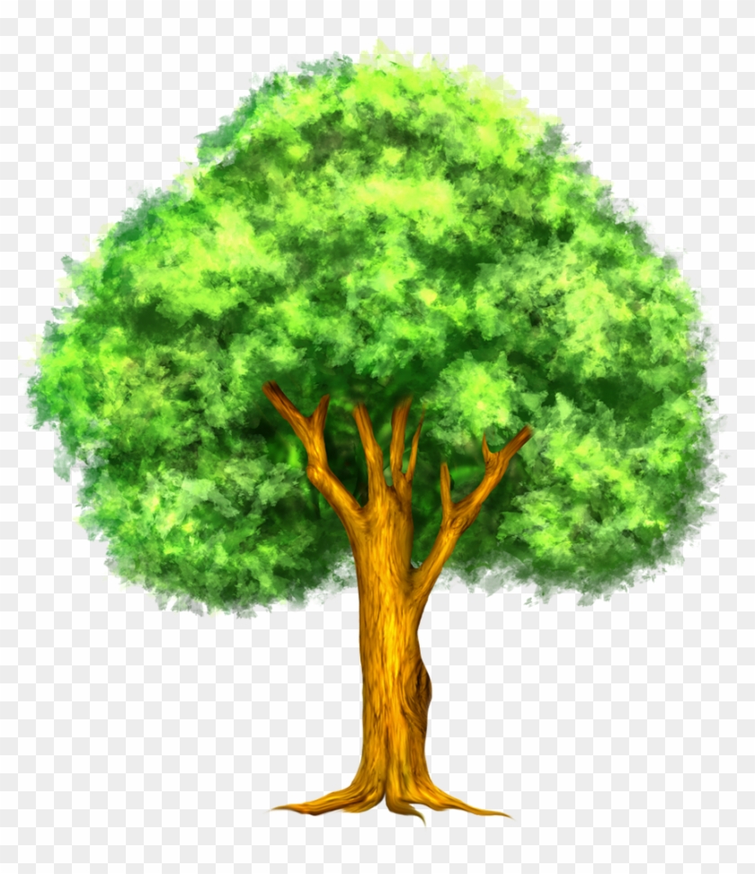 Tree Png Clipart Best Cliparts - Tree Clipart #999592