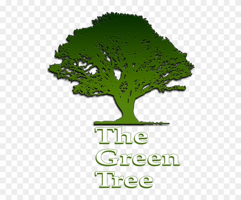 What A Great Experience - Oak Tree With Roots Silhouette #999755