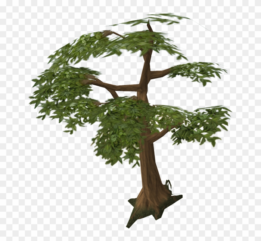 Green Tree - Green Tree #999804