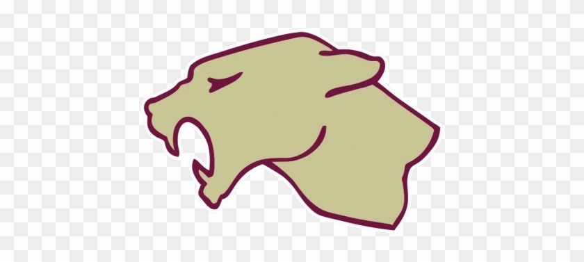 Western Panthers - School #999842