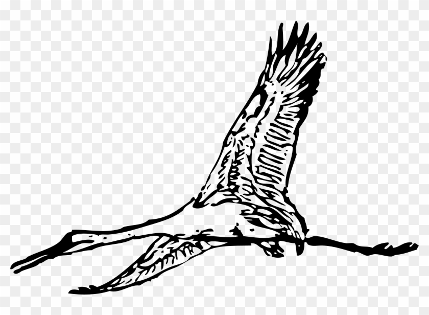 Similar Clip Art - Crane Or Crane? [book] #999921