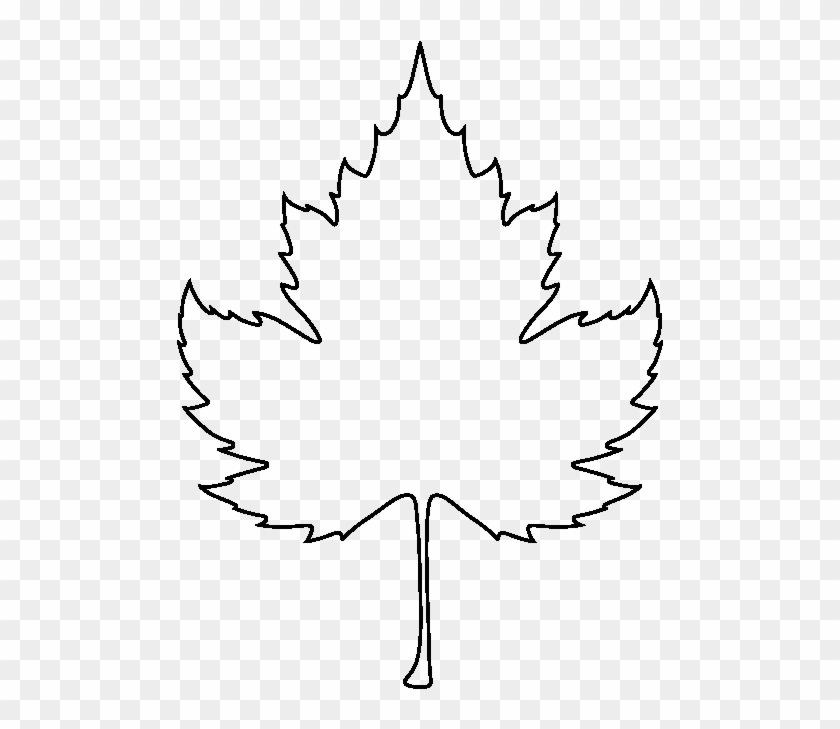 Sycamore Leaf Pattern - Outline Images Of Leaves #1000521