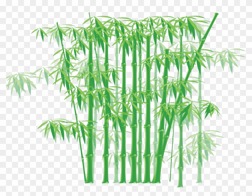Bamboo Clip Art - Bamboo Clip Art #1000561