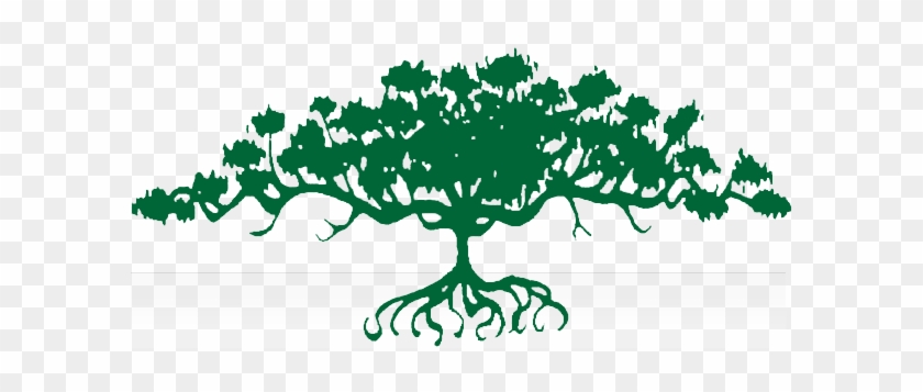 Community Roots - Rooibos #1000631