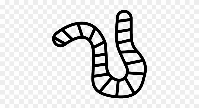 Worm Outline Inside A Circle Vector - Outline Images Of Worm #1000781