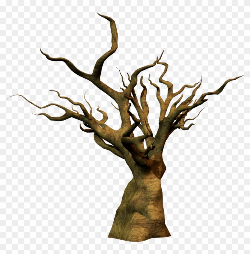 Dead Tree 3d Png #1001087