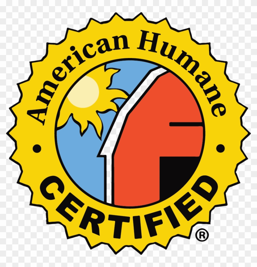 Ahc - Ahc #1001227