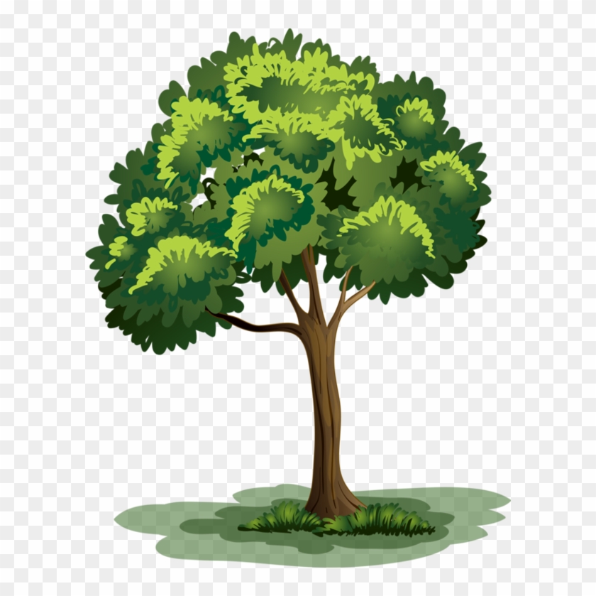 Arbre,png - Clipart Arbre Png #1001710