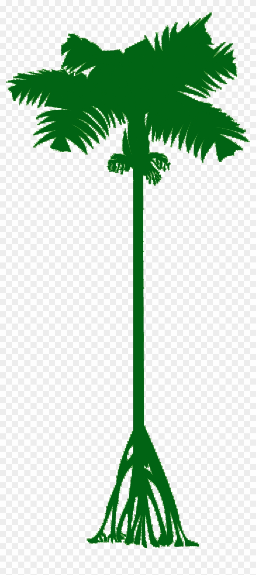 Deutsch - Borassus Flabellifer #1001872