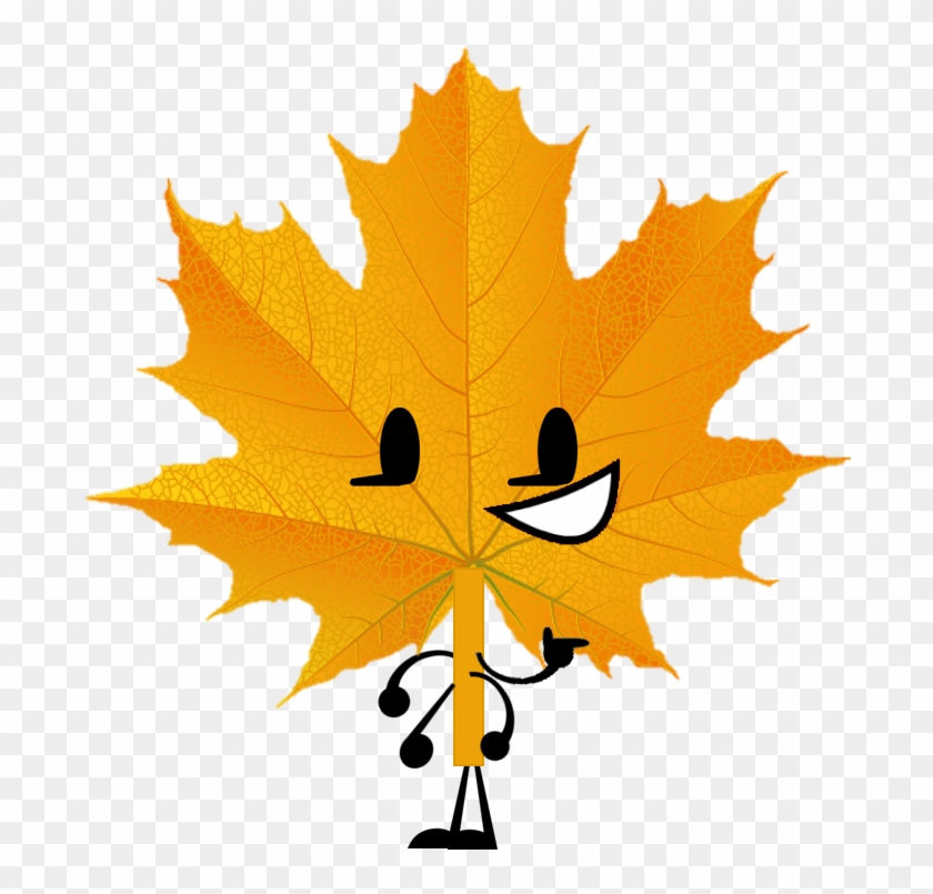 Fall Leaf - 4 Major Functions Of Leaves #1002592