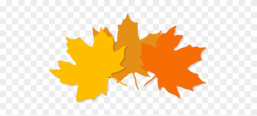 Https - //i2 - Wp - Com/sacdinkers - Org/wp Leaves - Maple Leaf #1002596