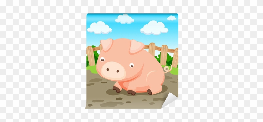 Domestic Pig #1002669