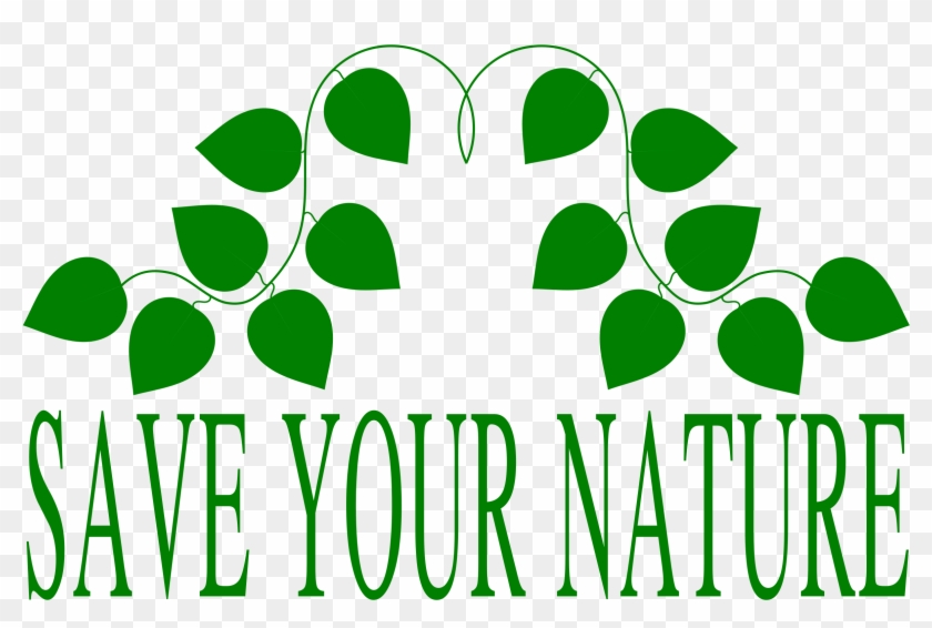 Nature Clipart Transparent - Assofin #1003532