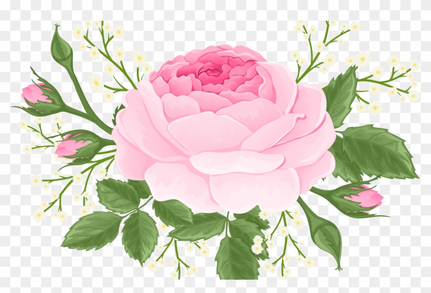 Garden Roses #1003542