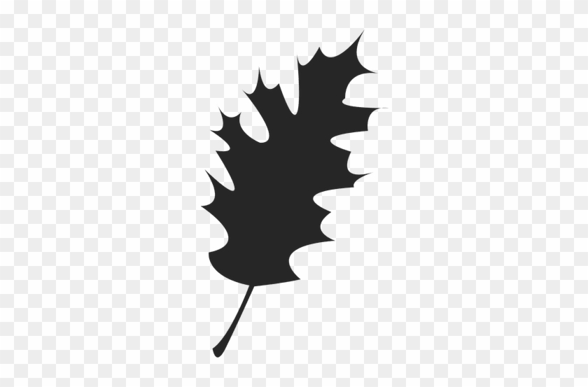 Maple Leaf Silhouette - Clip Art #1003632