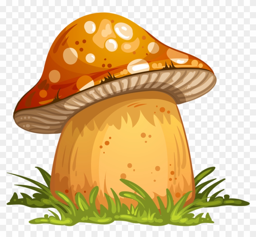 Mushroom Vector - Mushroom Cartoon #1003844