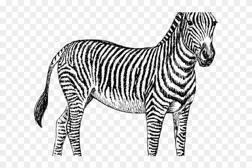 Zebra Clipart Small Zebra - Zebra Clipart #1004056