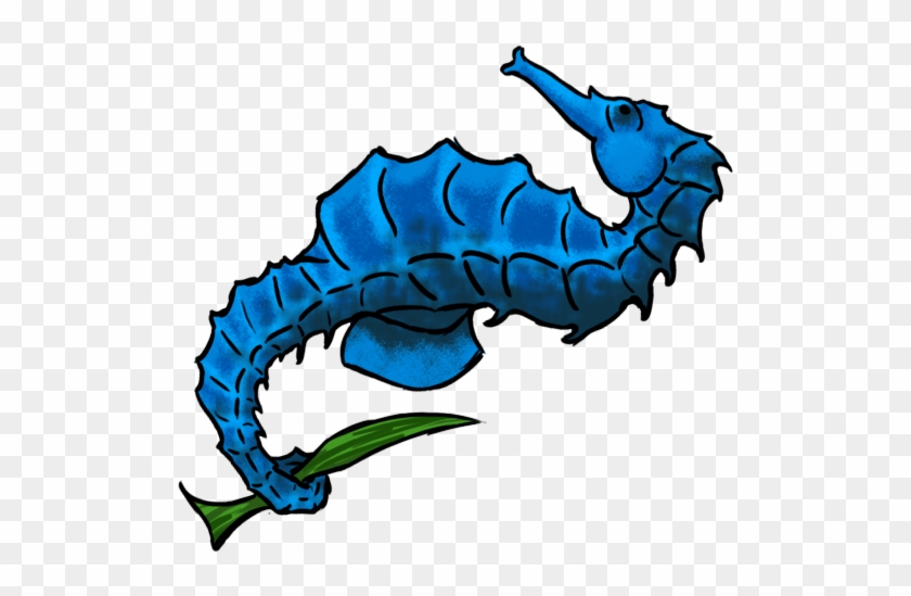 Browse And Download Seahorse Png Pictures Image - Browse And Download Seahorse Png Pictures Image #1004286