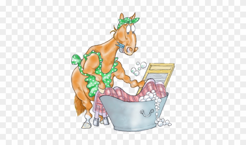 Kate Scurfield Horse Image - Kate Scurfield #1004403