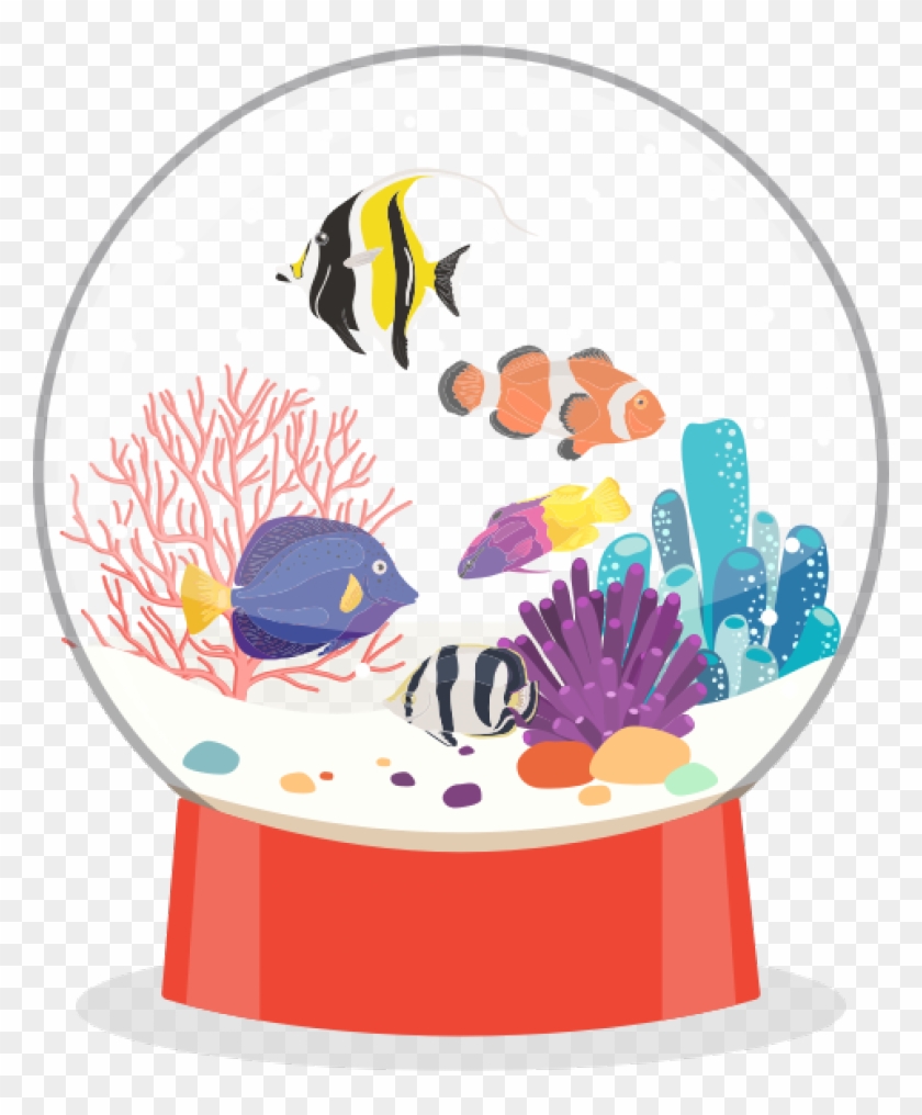 Posted On The 22nd December 2017 Christmas Snow Globe - Aquarium: Marine Portraits To Color [book] #1005407