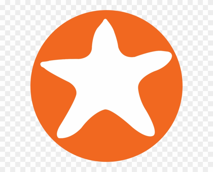 Starfish - Starfish #1005425