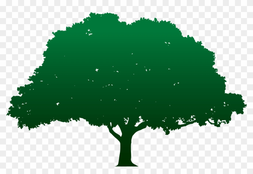 Tree Removal Tree Trimming Service Stump Grinding - Logo #1005474