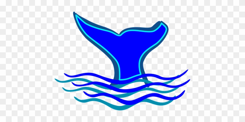 Whale Tail Fin Diving Water Whale Whale Wh - Fin Clipart #1005628