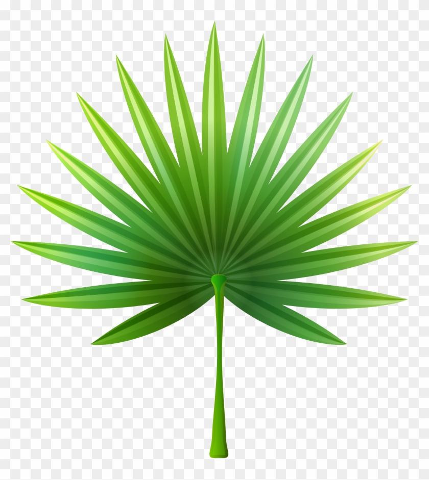 Exotic Clipart For Kid - Exotic Clipart For Kid #1006247