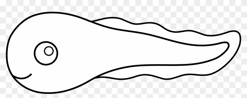 Tadpole Clipart Baby - Tadpole Easy To Draw #1006390