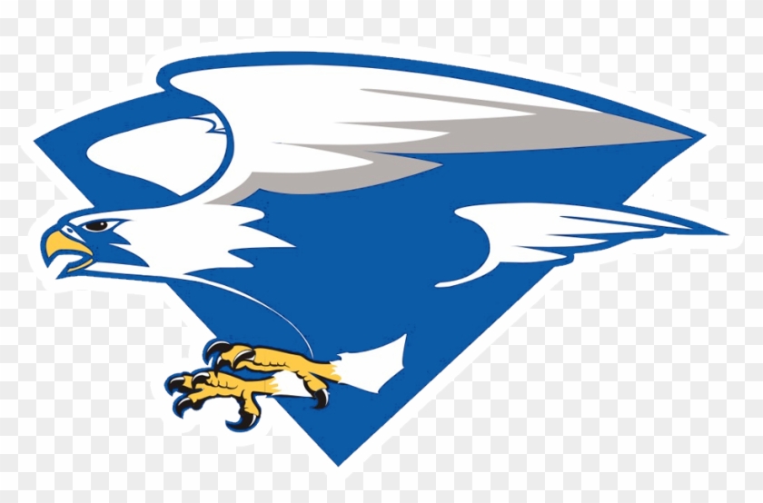 North Forney Falcons - Air Force Falcons Football #1006916
