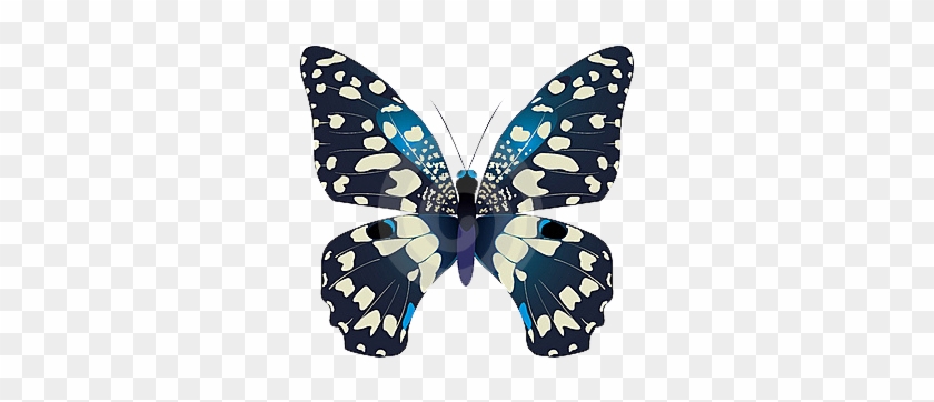 Butterfly Png - Swallowtails #1007353