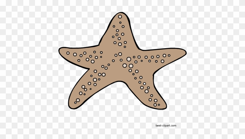 Startfish Free Clipart Graphic - Clip Art #1007736